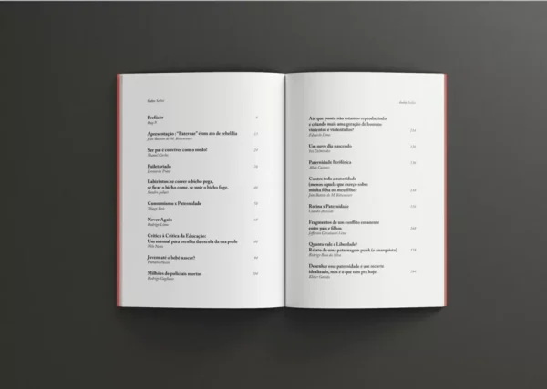 Livro Paternagem Punk - Image 2
